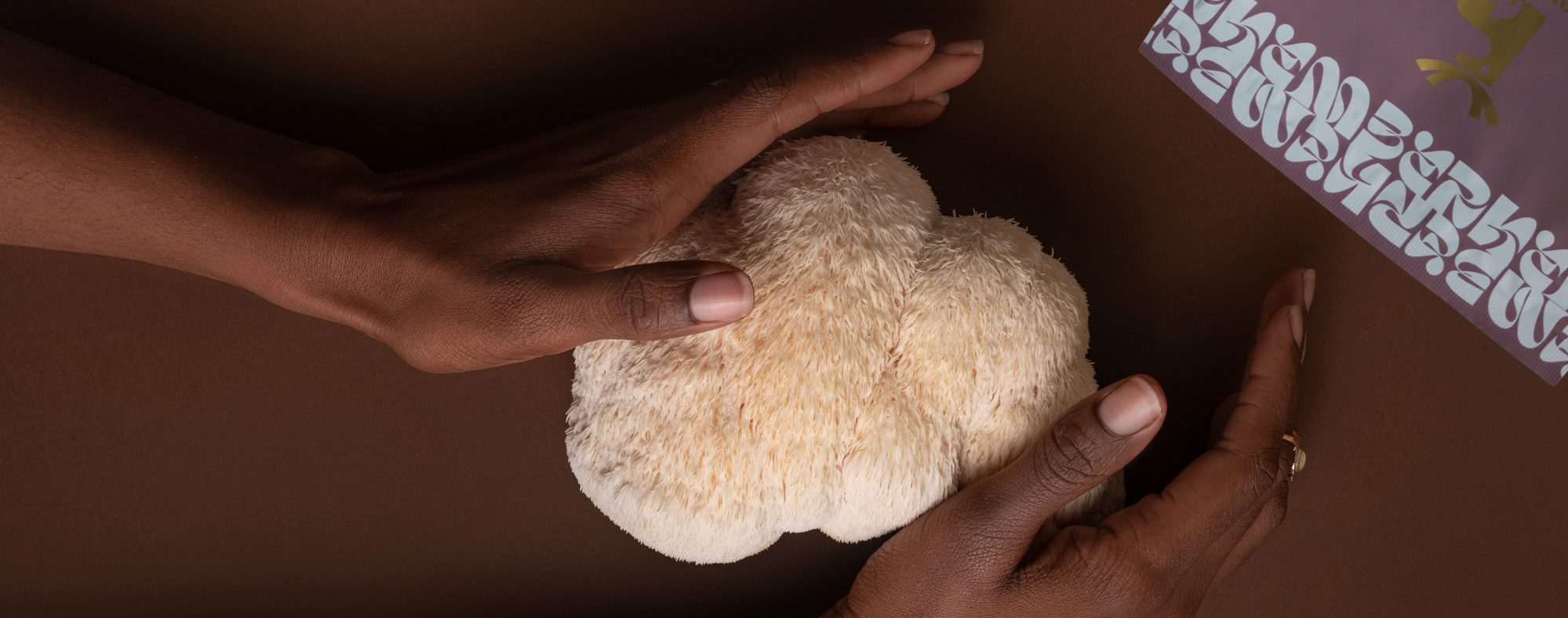 What is Lion's mane
