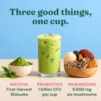 Matcha Latte Travel Pack